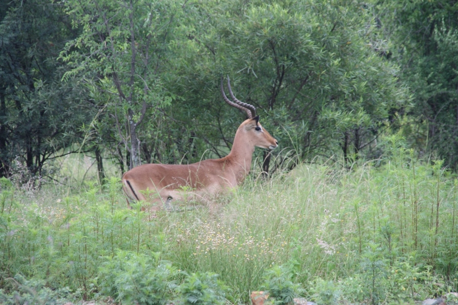 3 Bedroom Property for Sale in La Camargue Private Country Estate North West